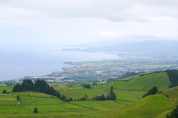 Fototapeta na wymiar Typical green landscape with hydrangeas of Sao Miguel island, Azores.