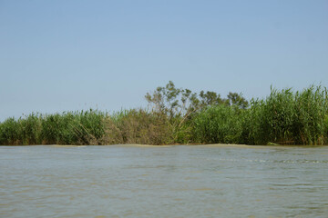 the river in the forest