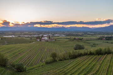 Fototapeta na wymiar Spring sunset in the vineyards of Rosazzo
