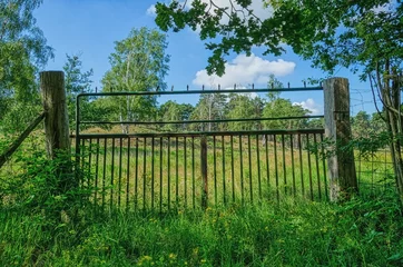 Fototapeten Zaun an der Diersfordter Veen Moorlandschaft © hespasoft