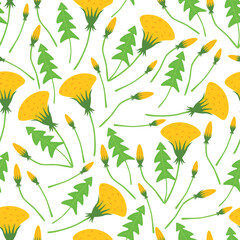 dandelion seamless pattern with white background