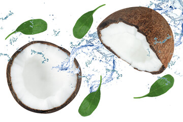 Falling coconut halves in a splash of water on an icholized white background. Fresh coconut