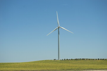 Wildmill on a yellow meadow of cádiz, Andalusia, Spain