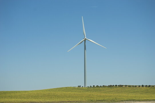Wildmill on a yellow meadow of c&aacute;diz, Andalusia, Spain