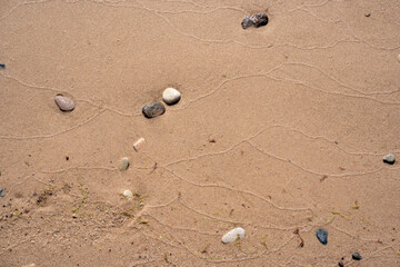 wet beach on the shores of the Baltic Sea have pebbles of different colors