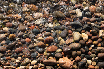 on the shores of the Baltic Sea there are stones of different colors, which form a beautiful pattern with each other