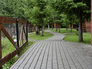 wooden bridge in the park