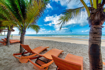 Beach chairs and coconut palm tree with blue sky background on the tropical beach at daytime