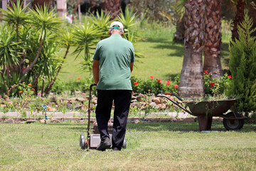 Gardener mowing the grass with lawn mower in park with palm trees. Tropical park improvement in...