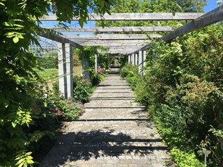 Obraz premium Landscape of the Botanical Garden St. Gallen or Landschaft des Botanisches Garten St. Gallen, Schweiz (The Botanical Garden in Saint Gall, Switzerland)