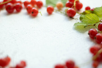 red currants on a wooden table. red currants along the photo above. space for text