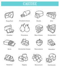 Foto op Plexiglas Cheese collection. Vector illustration of cheese types © tettygreen