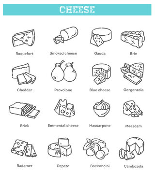 Cheese collection. Vector illustration of cheese types