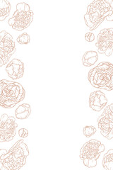 Vector frame with hand drawn peonies. floral sketch