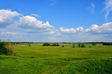 Fototapeta na wymiar A view of a vast field, meadow, or pastureland covered with grass, herbs, shrubs and trees see on a cloudy summer day on a Polish countryside during a hike