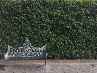 bench in the park