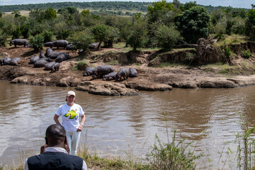 woman tourist on the background of the shore strewn with a large family of beremotes with offspring 