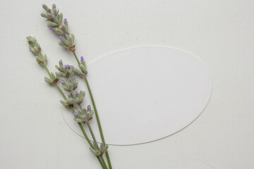 card mockup with lavender and envelope. invitation in minimalist style with flowers
