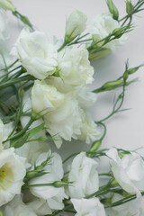 white eustoma flowers. 