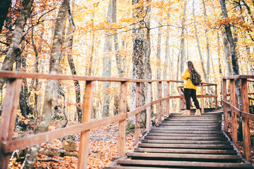 Long haired brunette woman hiker with large backpack goes up stairs with metal railing in picturesque autumn park with colorful trees on sunny day