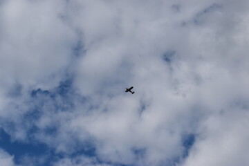 small airplane on the sky - obrazy, fototapety, plakaty