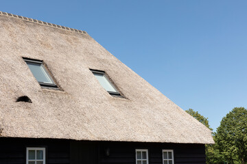 Fototapeta na wymiar A thatched roof consisting out of a natural reed straws, an eco friendly, ecological sustainable material on a sunny day and a blue sky in The Netherlands