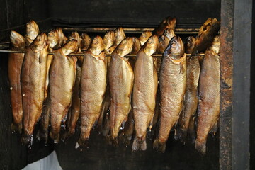 Fish in the smoker