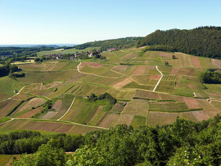 Fototapeta na wymiar scenico panorama dei campi coltivati nella verde regione francese del Jura
