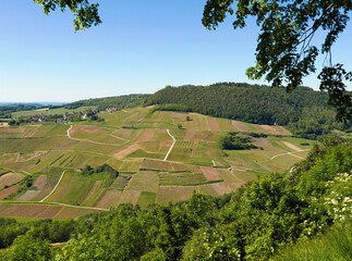 scenico panorama dei campi coltivati nella verde regione francese del Jura