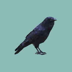 Low-Poly Raven