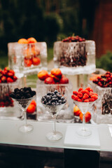 setting the wedding table with fruit in the garden