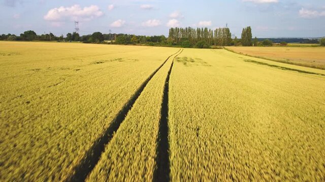 low level fly over wheel tracks on a wheet field