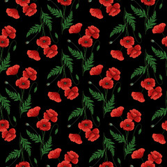 Seamless pattern with red poppy flowers. Papaver. Green stems and leaves. Hand drawn vector illustration. On black background.