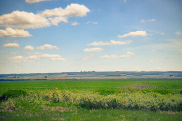 The Fields: An idyllic summer landscape of farm fields.