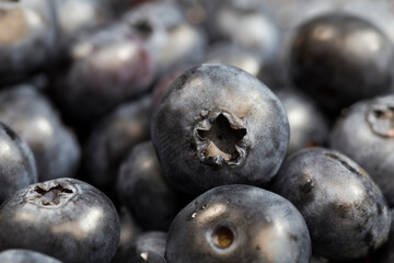 fresh blue blueberries are spherical