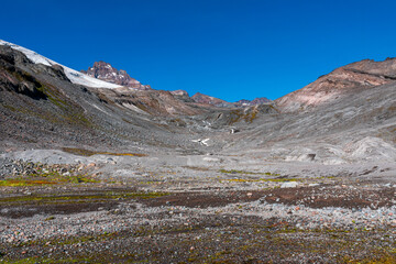 Paradise Glacier Trail At Mount Rainier