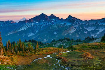 Fototapeta premium Paradise Glacier Trail At Mount Rainier
