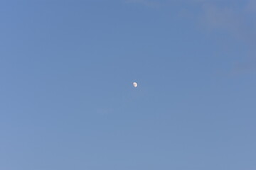 moon in the sky