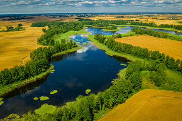 Obraz premium Forest and small lake in summer. Aerial view of nature.
