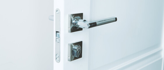 stylish doorknob and door in a design apartment