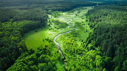 Curvy river and green forest. Aerial view of wildlife, Poland.