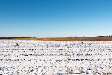 Snow covered farm field. Snow fell on agricultural field. Late autumn.
