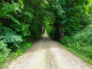 rural dirt road through the forest in Latvia
