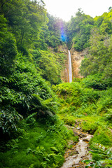 Beautiful secret wild waterfall in a green jungle environment in Azores islands.