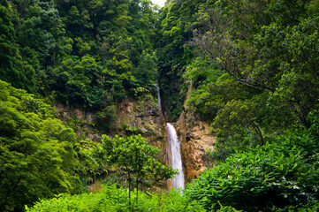 Beautiful secret wild waterfall in a green jungle environment in Azores islands.