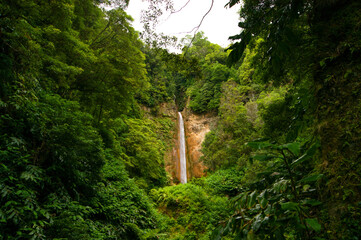 Beautiful secret wild waterfall in a green jungle environment in Azores islands.