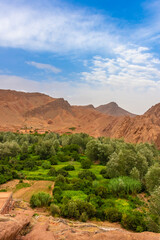 Naklejka premium Landscape of the thousand kasbahs valley, Morocco