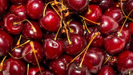 Ripe bright cherry background.Ripe red cherries.