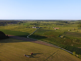nadmorskie łąki © Marcin