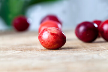 homemade cranberries grown in an industrial garden